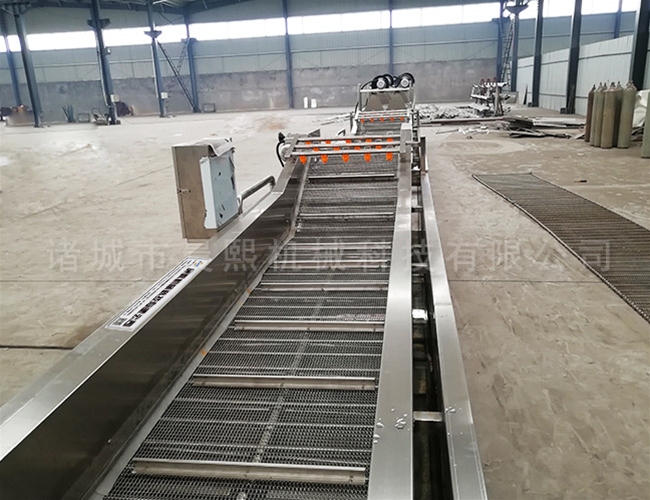 果蔬清洗流水線清洗效率高節省勞動力