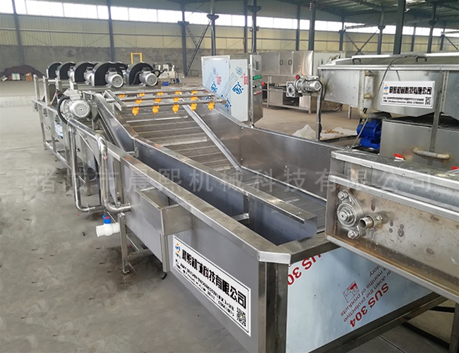 桑葚清洗機(jī)