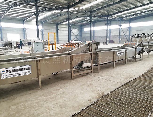 全自動紫蘇葉清洗機型號