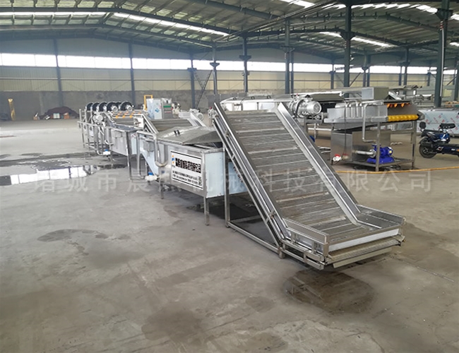 芋頭去皮機(jī)廠家直銷(xiāo)